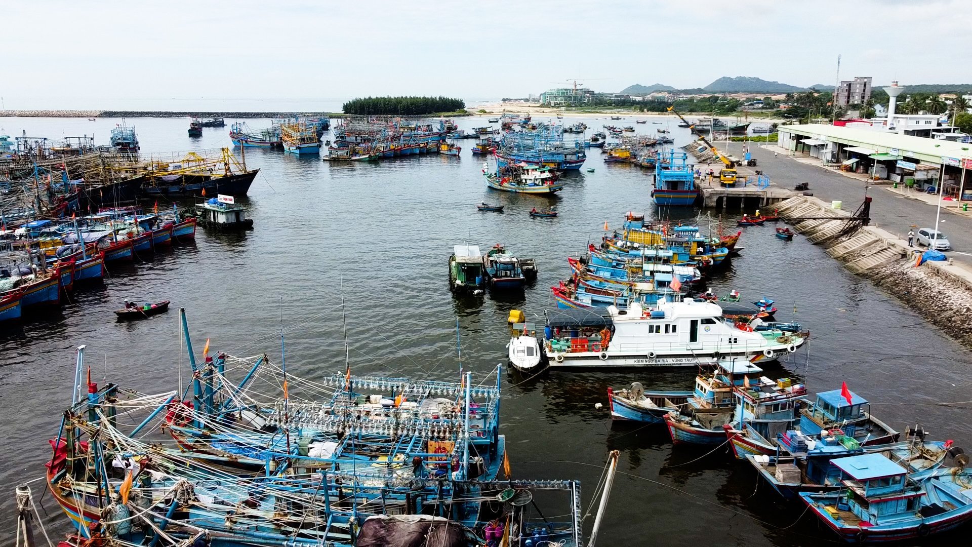 Ngư dân Bình Châu mở biển đầu năm