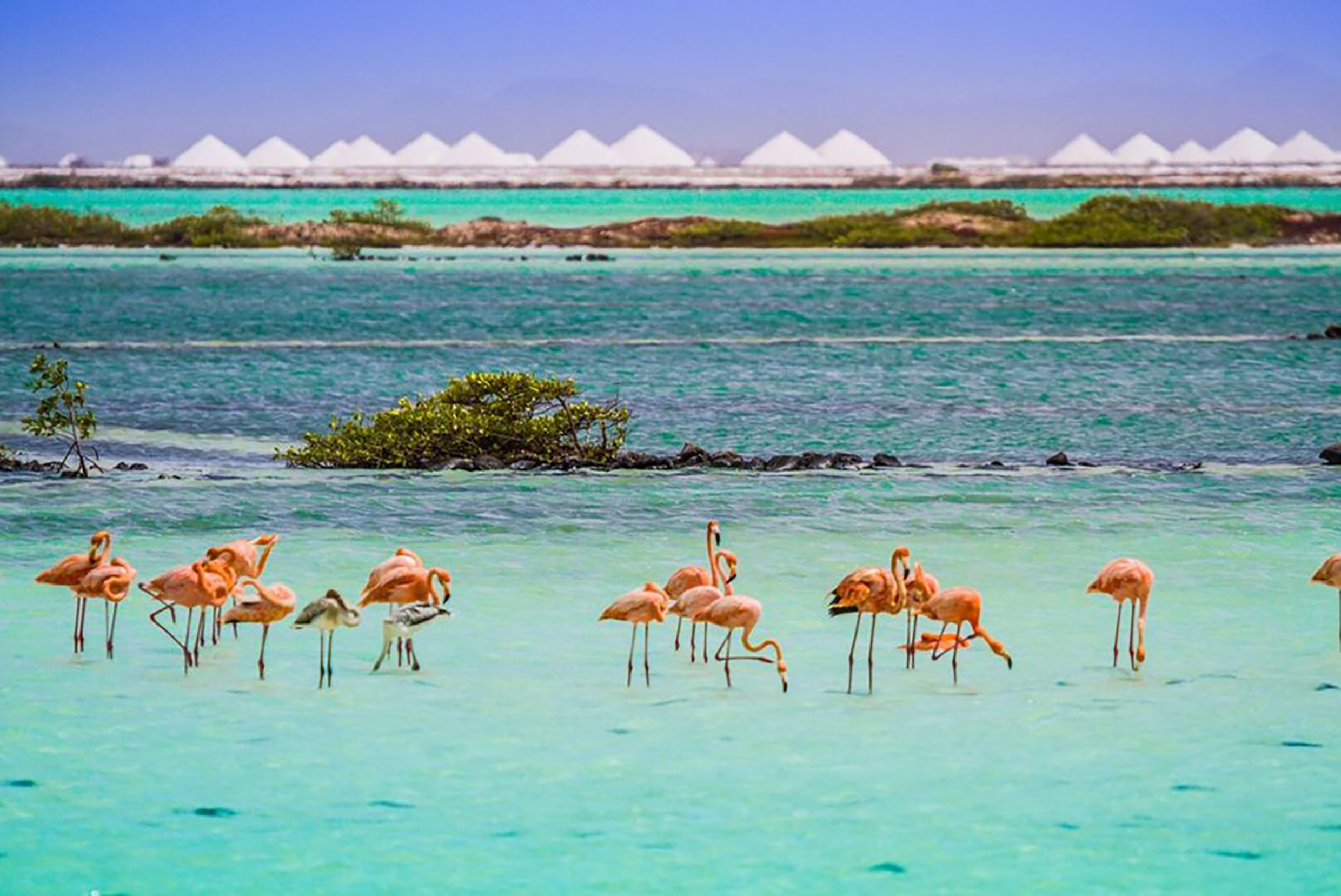 Bonaire- Hòn đảo mang sức hút kỳ lạ