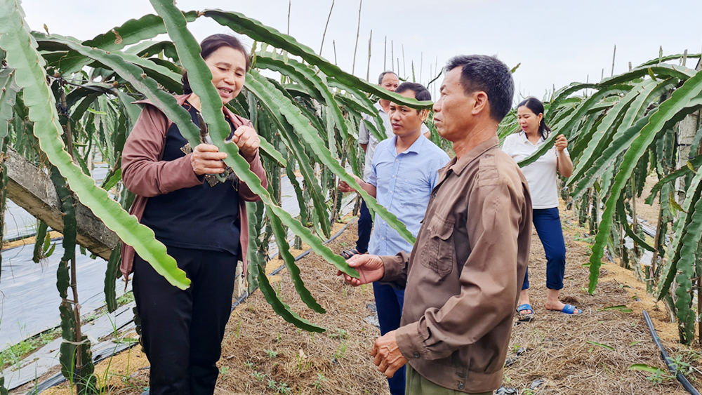 Xây dựng điển hình học, làm theo Bác để nhân rộng