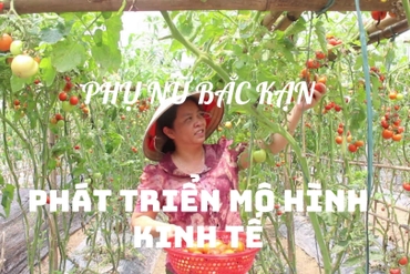 Phụ nữ Bắc Kạn phát triển mô hình kinh tế 0