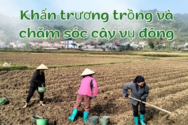 E-magazine Nông dân xuống đồng sản xuất vụ đông 0