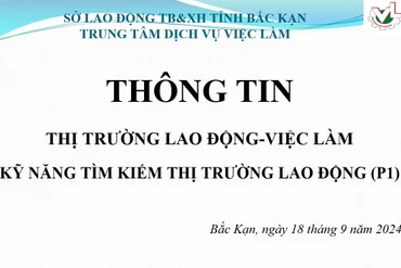 [Trực tiếp] Kỹ năng tìm kiếm thị trường lao động 0