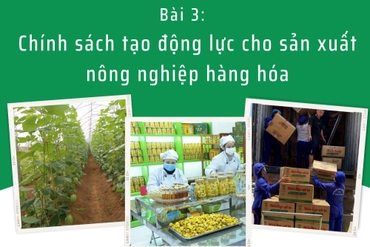 E-magazine Bài 3 - Chính sách tạo động lực cho sản xuất nông nghiệp hàng hóa 0