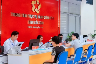 Bắt đầu đăng ký khai sinh và khai tử liên thông trên địa bàn tỉnh 0