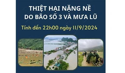 Infographics [Infographic] Thiệt hại nặng nề do bão số 3 và mưa lũ tính đến 22h00 ngày 11/9 0