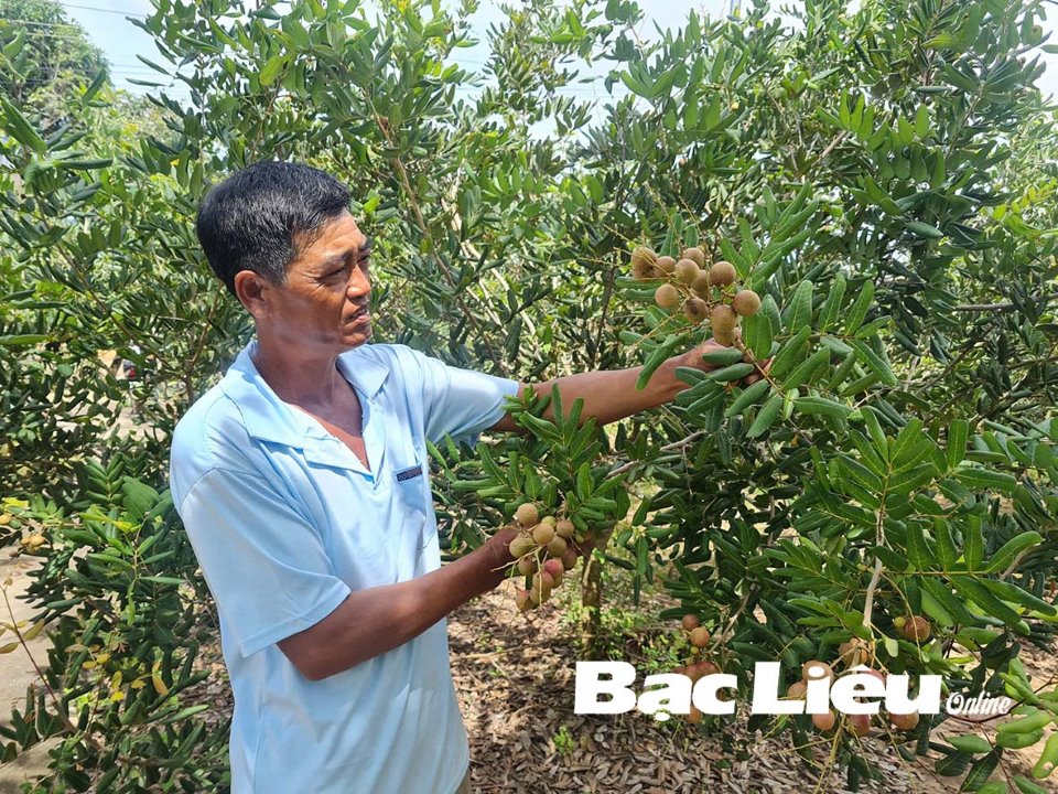 Tăng hiệu quả nguồn vốn cho vay hỗ trợ tạo việc làm