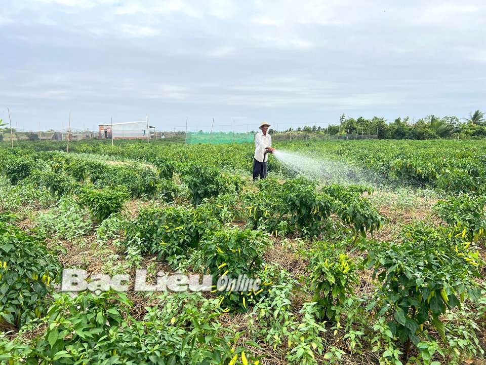 Giảm nghèo từ những mô hình kinh tế hiệu quả