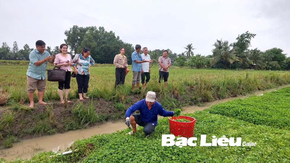 Khảo sát thực tế các mô hình điển hình tiên tiến trên địa bàn tỉnh