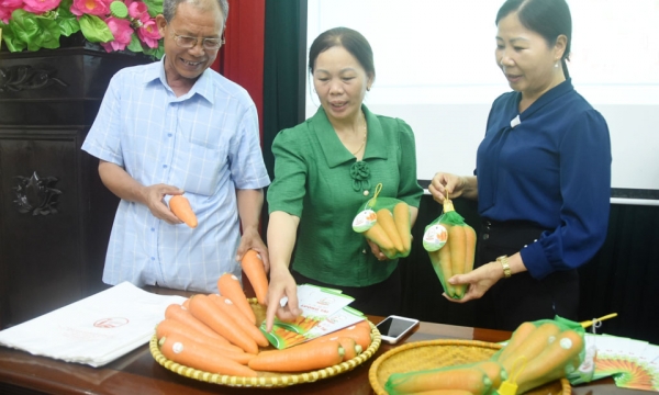 Kỳ vọng vào Nhãn hiệu chứng nhận “Cà rốt Lương Tài”