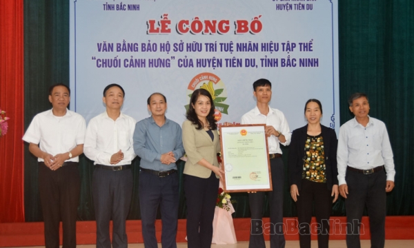 Công bố văn bằng bảo hộ Nhãn hiệu tập thể Chuối Cảnh Hưng