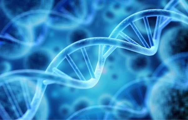 Các nhà khoa học tạo ra loại men đầu tiên có DNA nhân tạo