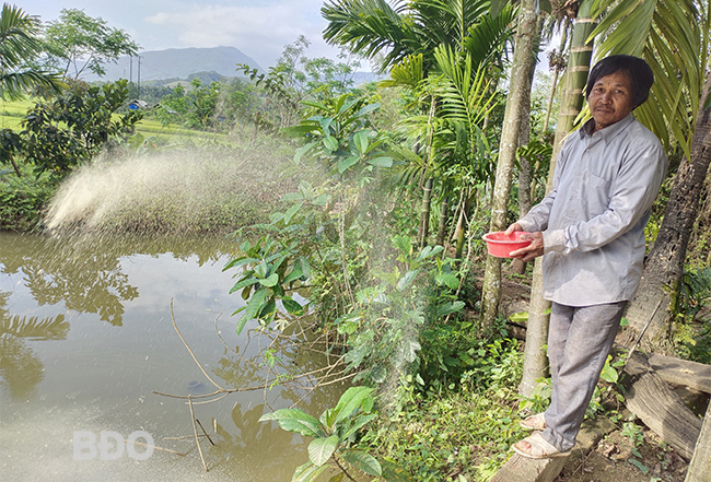 Nông dân An Hưng thi đua sản xuất , làm giàu