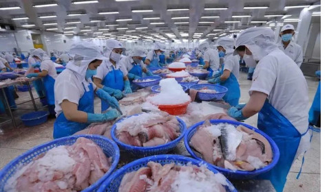 Commission proposes measure for anti-IUU fishing cooperation with Vietnam