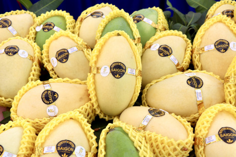 Bright prospects for An Giang mangos to conquer more demanding markets