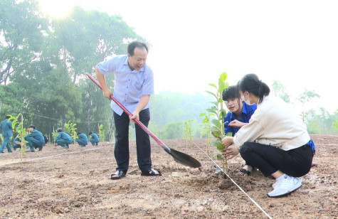 Thu Dau Mot City acts together to become "green"