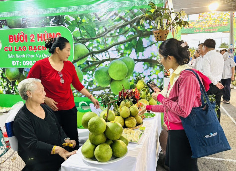 Pomelo fragrance drifts far away