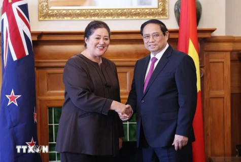 Vietnam, New Zealand share intensive, extensive relations: ambassador