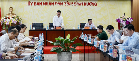 Binh Duong strives to reach VND 71.6 trillion in budget State revenue in 2024 