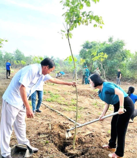 Socialization of "Rosewood" thematic garden