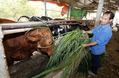 Vietnam has over 1.58 million poor, near-poor households in 2023: Ministry