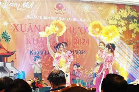 Vietnamese in Malaysia, Brunei enjoy Tet