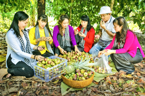 2024 "Ripe Fruit Season" festival: An opportunity to promote Binh Duong's land and people