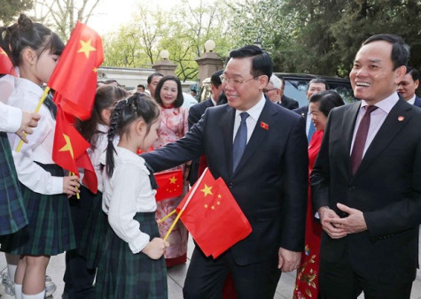 NA Chairman meets Vietnamese community in China