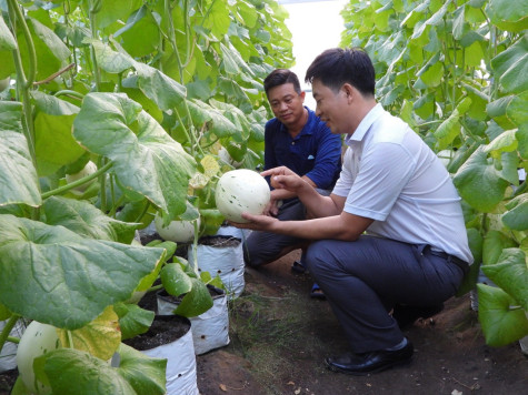 Thúc đẩy phát triển nông nghiệp ứng dụng công nghệ cao