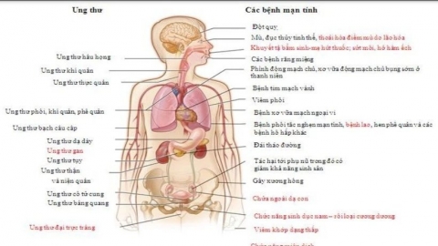 Bộ Giáo dục và Đào tạo đưa phòng chống thuốc lá vào chương trình bậc THPT