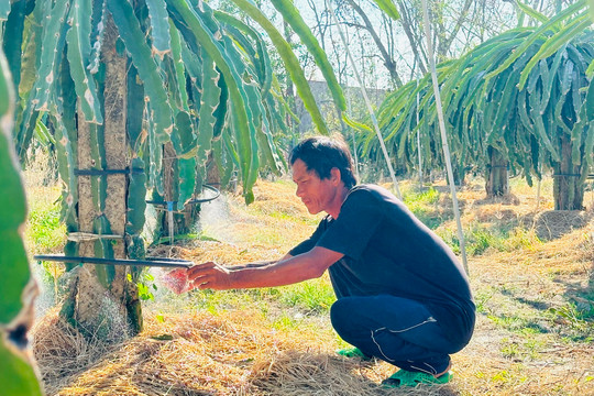 Hỗ trợ nông dân phát triển nông nghiệp, kinh tế nông thôn bền vững