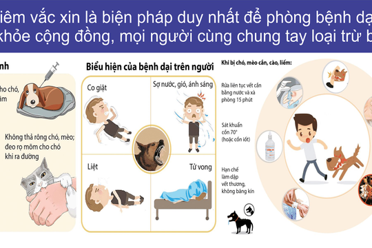 Đến bao giờ… không còn chó thả rông cắn người?