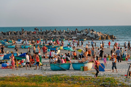 Binh Thuan harvests “fortune” of the sea in the first days of Lunar New Year