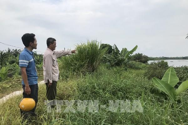 Hải Dương sạt lở nhiều tuyến kênh ở Tứ Kỳ tiềm ẩn nguy cơ mất an toàn