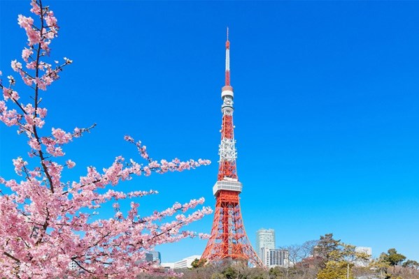 Tháp Tokyo ra mắt tour du lịch "hút" khách quốc tế hạng sang