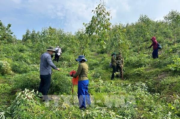 Thủ tướng yêu cầu triển khai các biện pháp phục hồi sản xuất nông nghiệp