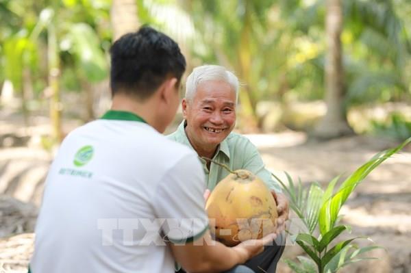 Phát triển bền vững ngành dừa - Bài 1: Dư địa xuất khẩu rất lớn