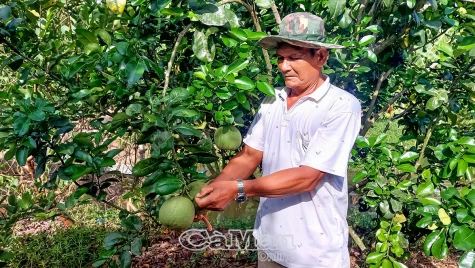 Chính sách dân tộc: Thực hiện đầy đủ, kịp thời