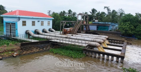 Khó tháo nước, nhiều diện tích lúa nguy cơ thiệt hại trắng