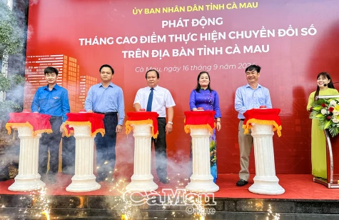 Hành động thiết thực, hiệu quả Tháng cao điểm chuyển đổi số