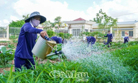 Hỗ trợ người sau cai nghiện ma tuý: Còn nhiều khó khăn