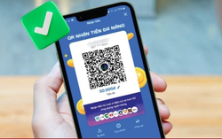 Cách tạo mã QR có sẵn số tiền trên ZaloPay