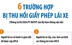 6 trường hợp bị thu hồi giấy phép lái xe từ 1/6