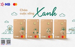 Xu hướng chi tiêu “xanh” - sống “lành”