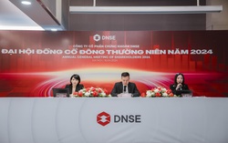 Quý 1/2024, DNSE tăng 40% số lượng chứng khoán quản lý