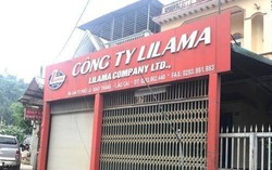 Thủ đoạn ‘rửa tiền’ của Giám đốc Công ty Lilama