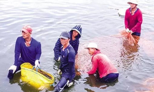 Tăng tính chủ động phòng, chống dịch bệnh trong nuôi trồng thủy sản