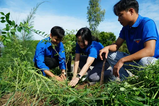 Làm theo lời Bác bằng những việc thiết thực