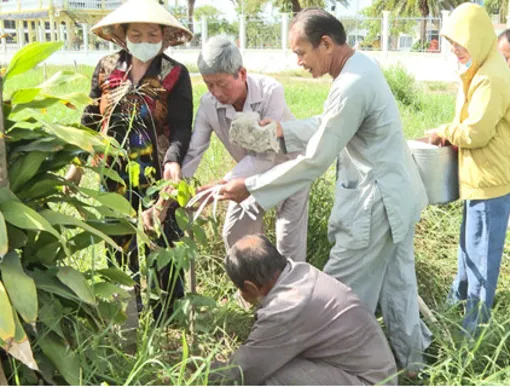 Phát động trồng cây xanh ứng phó với biến đổi khí hậu