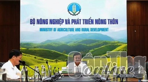 Thúc đẩy phát triển hiệu quả, bền vững ngành sầu riêng Việt Nam