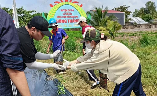 Nhiều công trình, phần việc vì cộng đồng hưởng ứng Chiến dịch “Mùa hè xanh”